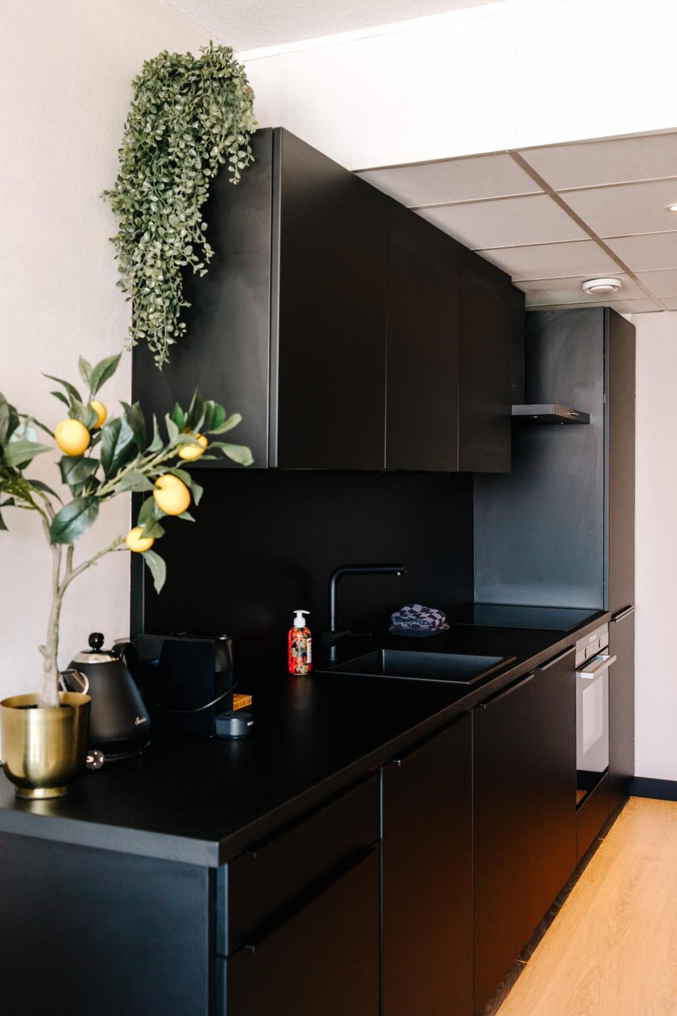 Apartment Pascalle Zandvoort Ngoại thất bức ảnh